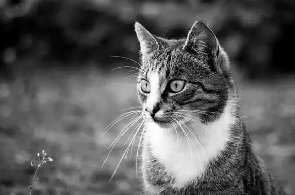 Zoozoo, ветеринарный центр