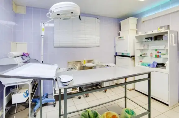 Снежный барс, ветеринарная клиника