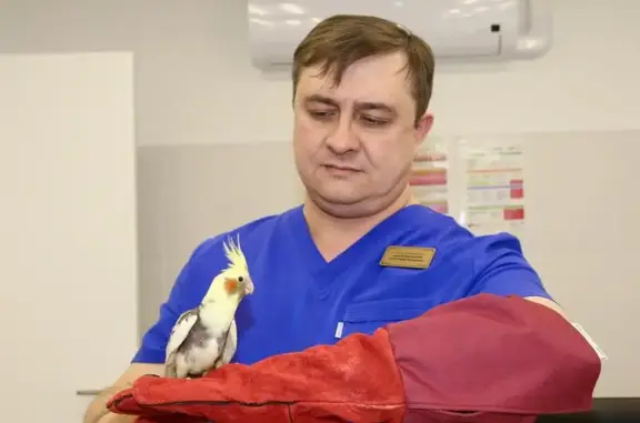 Ветеринарная клиника Дмитрия Шаловинского