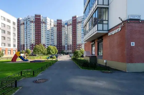 Лахта, ветеринарная клиника