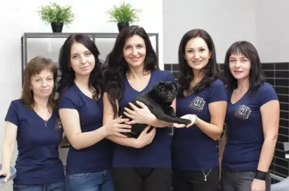 Зоогостиница Pet360 на метро Комендантский проспект