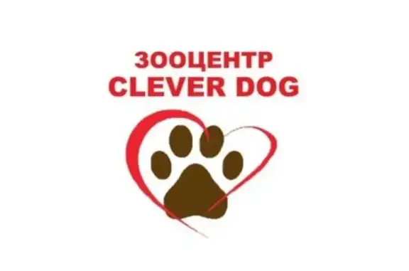 Clever Dog, зооцентр
