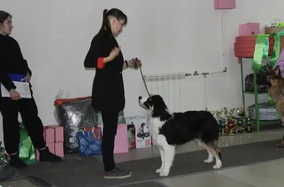 Клуб любителей животных Nord Keeper