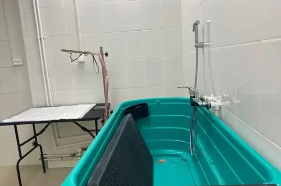 Ветеринарная клиника «Гос-Вет» на улице Плещеева