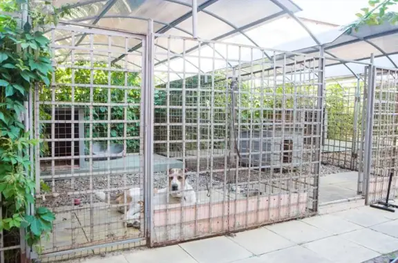 Беладонна, ветеринарный центр