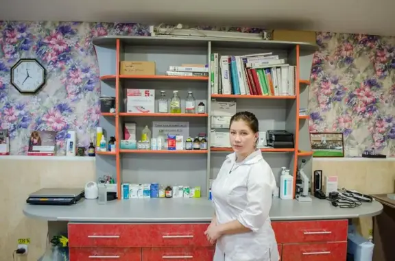 Миллион друзей, ветеринарная клиника