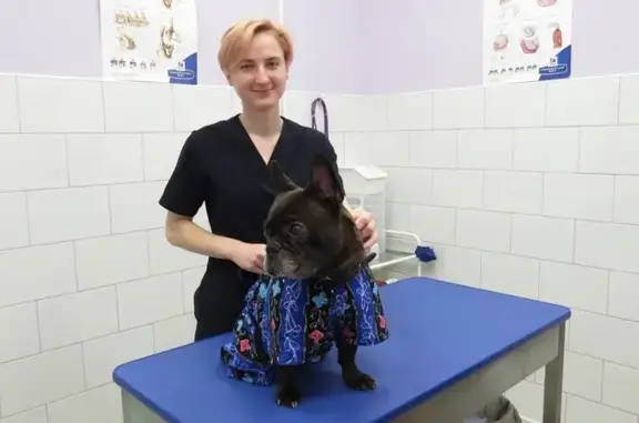 Ветмиссия, ветеринарная клиника