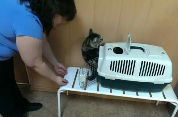 АЛЬТЕРНАТИВАВЕТ, клиника ветеринарной медицины