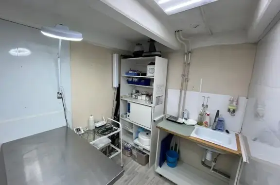 Ветеринарная клиника ВетОтВет