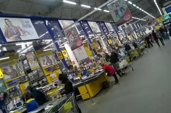 Зоомаркет Лента на Ленинградской улице