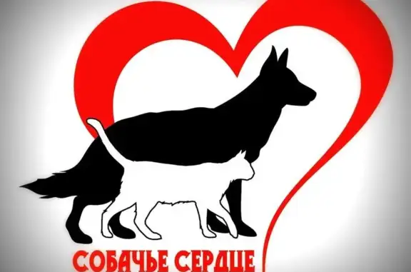 Собачье сердце, ветеринарный центр