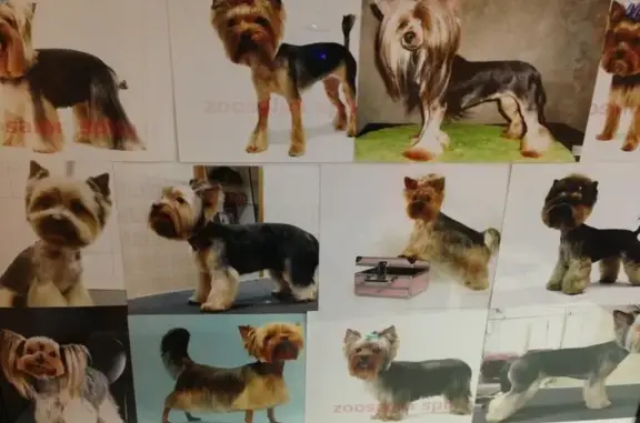 Зоосалон Татьяны Баженовой на Брестском бульваре