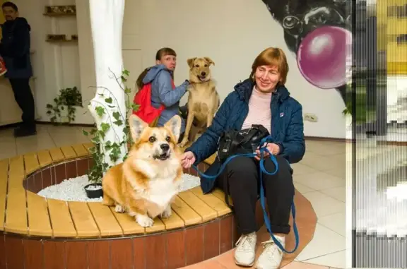 Ветеринарная клиника SURTA-VET