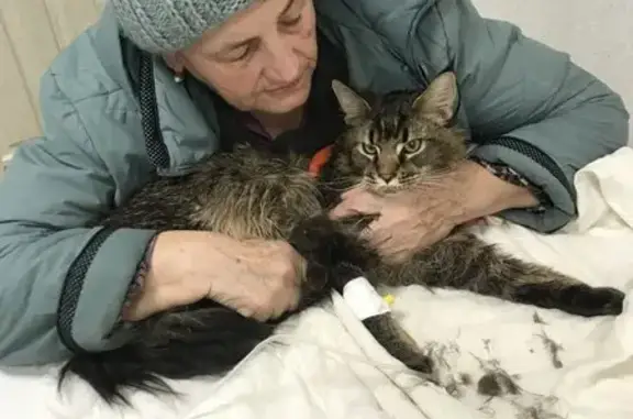 Алиса, ветеринарный кабинет