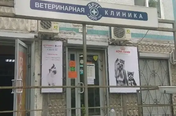 Друг, ветеринарная клиника