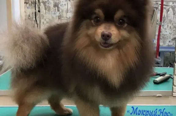 Зоосалон Любимый Нос на Боровском шоссе