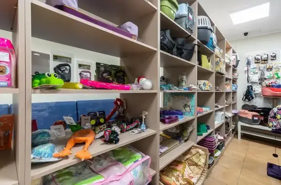 Вега, ветеринарная клиника