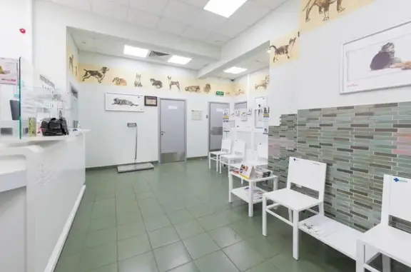 Ветеринарная клиника Центр на улице Цюрупы