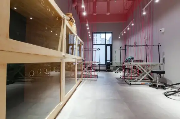 Груминг-салон Dog`s plan