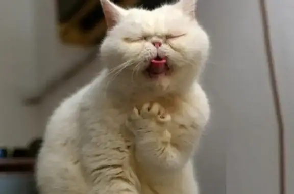 Зоолэнд на улице Кораблестроителей, 31 к 1