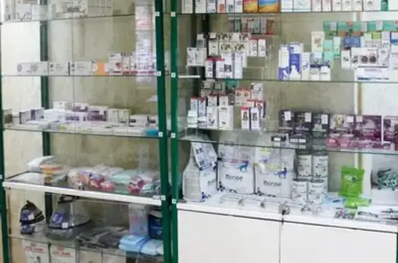 Амбер Вет, ветеринарная клиника