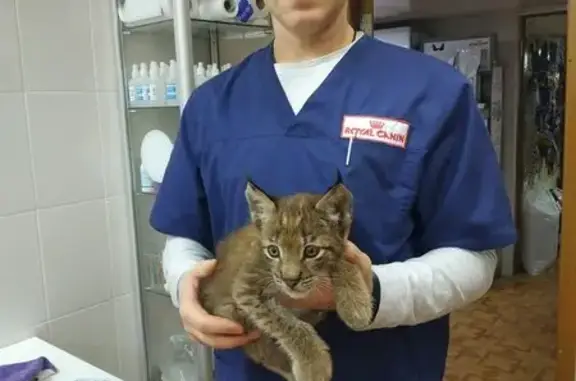 Здоровье, ветеринарный центр