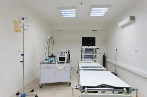 Большая Медведица, ветеринарный центр