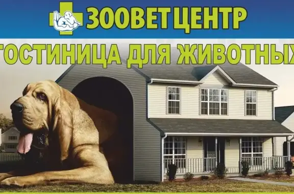 Зооветцентр ветеринарный кабинет для здоровых животных