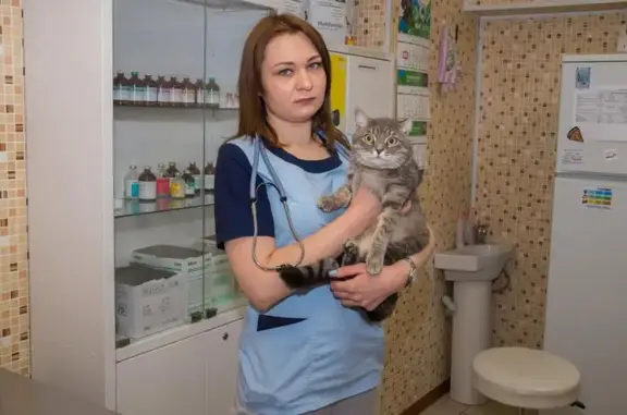 Биовет, ветеринарная клиника