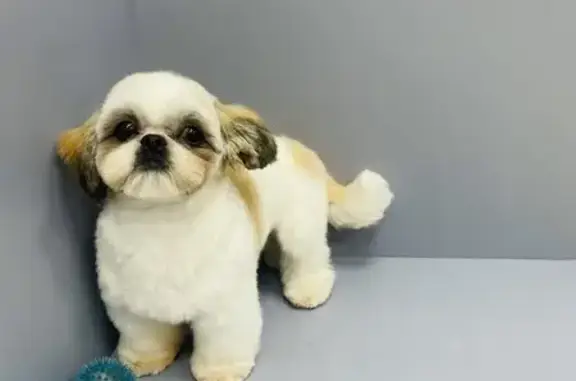 Компания ArtGroom