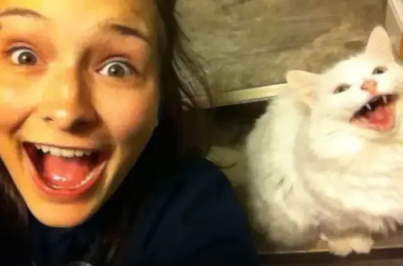 Консультационный онлайн-центр по зоопсихологии Золотая рыбка