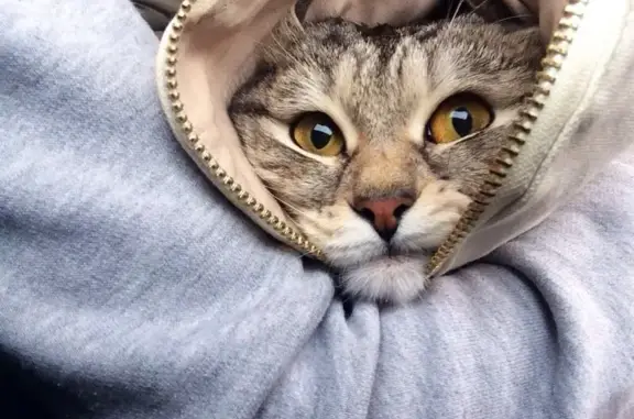 Доктор Зоо, ветеринарная клиника