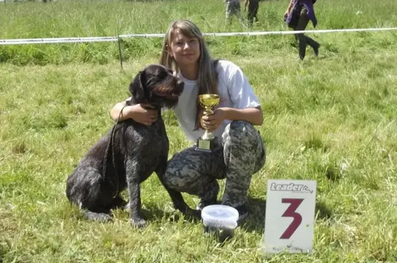 Центр охотничьего собаководства