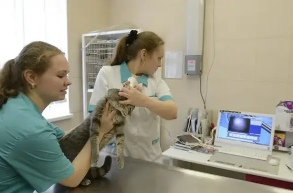 Ветеринарная клиника Айболит в Раменском