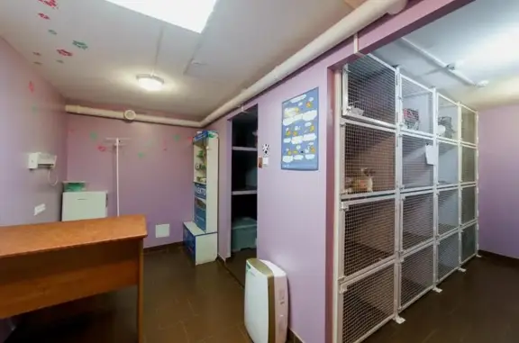 Кот Матроскин, ветеринарная клиника