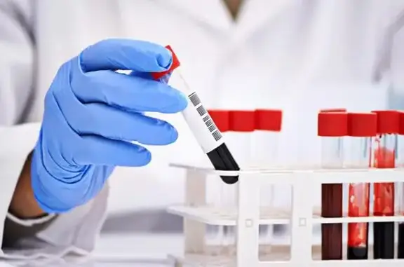 Усатый Полосатый, ветеринарная клиника