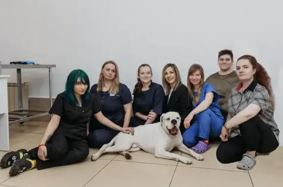 Белый Боксер, ветеринарная клиника