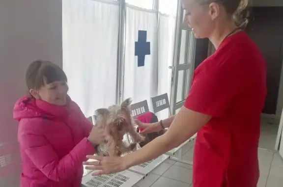 Веттайм, ветеринарная клиника