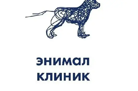 Энимал Клиник, ветеринарная больница