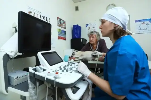 Санкт-Петербургская городская станция по борьбе с болезнями животных