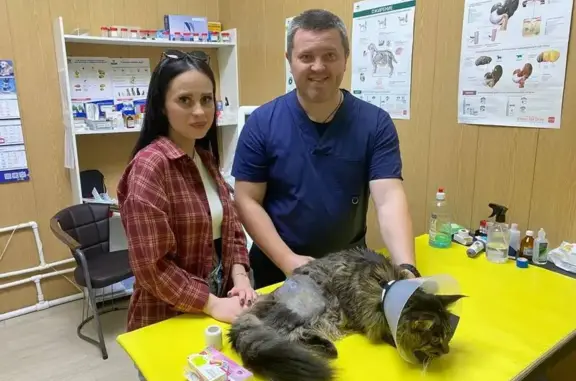 Ветеринарная клиника Ветерок в Островцах