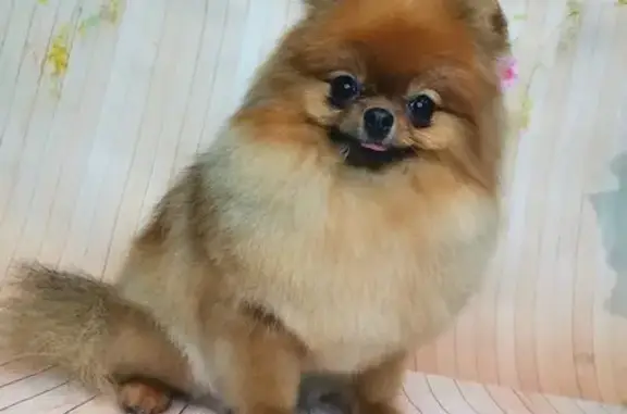 Зоосалон 5 Хвостов на проспекте Ленина