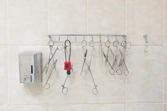 МастерВет, ветеринарная клиника