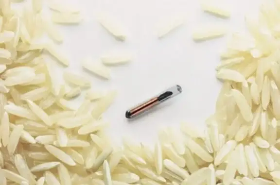 Ветеринарная клиника Камчатская краевая станция по борьбе с болезнями животных