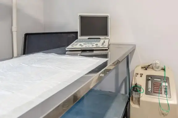 Эксперт, ветеринарная клиника