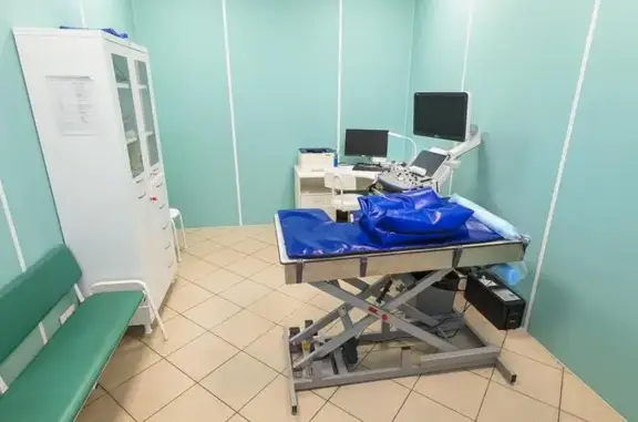 Ветеринарная клиника Ситивет на метро Комендантский проспект