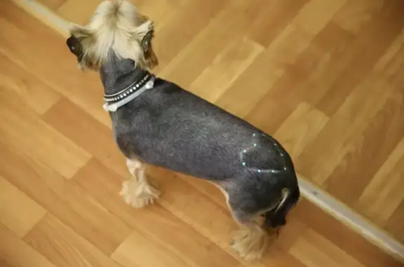 Зоосалон Монморанси