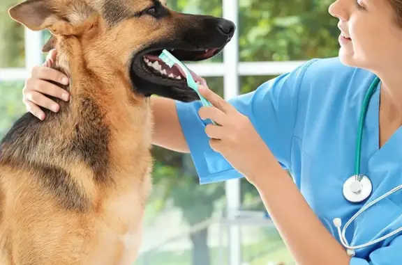 Ветеринарная клиника Здоровый мир в Голицыно