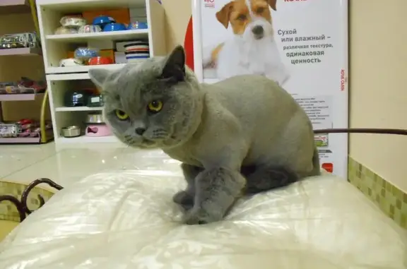 Салон-бутик красоты для животных Цаца в Центральном районе