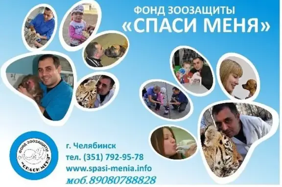 Спаси меня, ветеринарная клиника